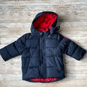 GAP Down Coat